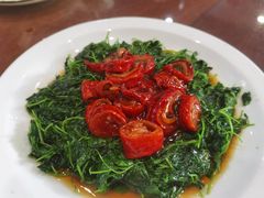 碧绿圈子-长兴菜馆(高桥店)