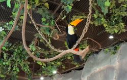 -Zoolung Zoolung动物主题公园(海信广场店)