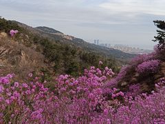 -青岛大珠山景区