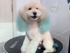 -太原东方动物医院(小店分院)