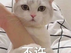 -芳芳餐厅(白沙路店)