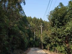 -银瓶嘴森林公园