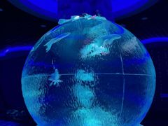 -石家庄极地海洋世界