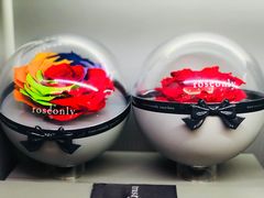 -ROSEONLY诺誓(广州K11店)