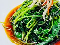-滇铺子·云南特色菜·第九届野生菌美食节(东风东路c86店)
