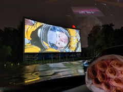 -枫花园汽车电影院(朝阳公园店)