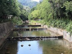 -广州白江湖森林公园