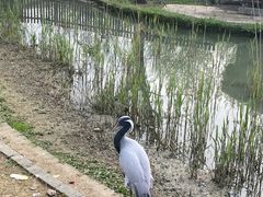 -上方山森林动物世界