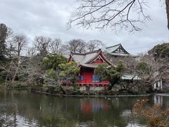 -井之头恩赐公园
