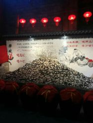 -南京万达乐园