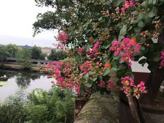 -东坡赤壁风景名胜区