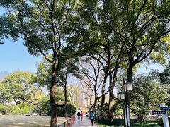 -上海醉白池公园