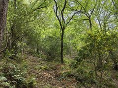 -宝岩生态观光园