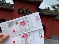 -洛阳白马寺