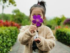 -聚龙山公园