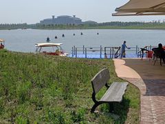 -洪湖湿地生态园