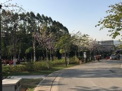 -火炉山森林公园