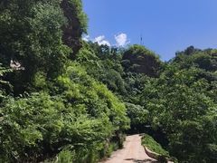 -湖洞水自然风景区