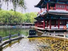 -百脉泉景区