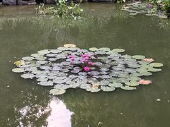 -深圳国际园林花卉博览园