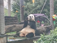 -大连森林动物园