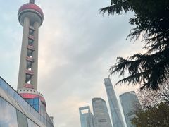 -上海大自然野生昆虫馆(东方明珠·爬宠昆虫探索中心)