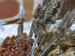 招牌铁丝牛肉-新城小肉串(新华店)