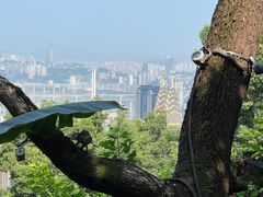 -道教老君洞