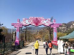 -北京凤凰岭