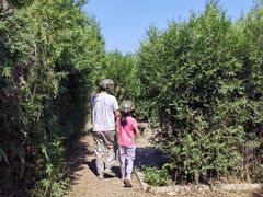 -亲兄弟真人CS团建拓展基地