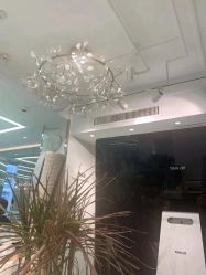 -潘多拉Hairsalon