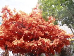 -济南方特东方神画