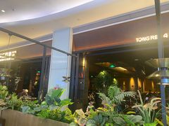 -同仁四季椰子鸡(宝安壹方城店)