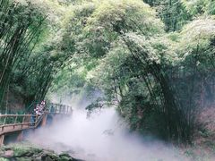 -川西竹海景区