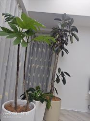 -HEYAN荷妍专业脱毛连锁机构