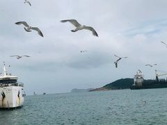 -海驴岛(荣成市)