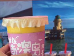 -南澳岛打卡果汁冰公司