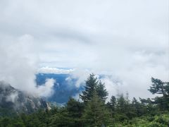 -芦芽山旅游度假区