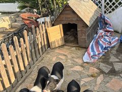 -HERRE·FARM 赫尔露营农场·团建聚会包场