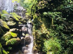 -藏龙百瀑风景区