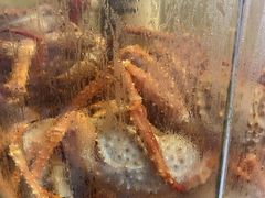 -荔城生鲜盛宴(番禺旗舰店)