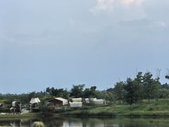 -空港花田景区