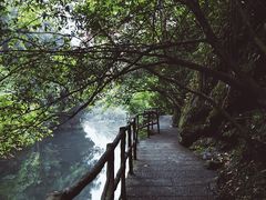 -石台牯牛降景区