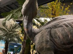 -湖南省地质博物馆