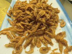 -独流饭店(静海区国土资源分局西)