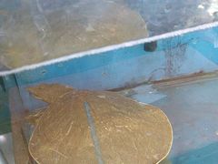 -湖南人家湘菜馆(镇江路店)