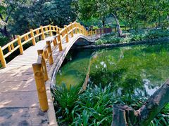 -晓港公园