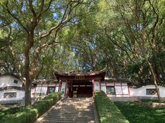 -上海佘山国家森林公园天马山园