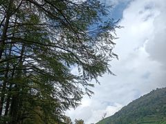 -东白山