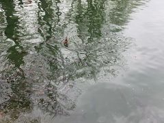 -烟袋斜街